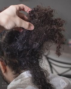 dreadlock traduction