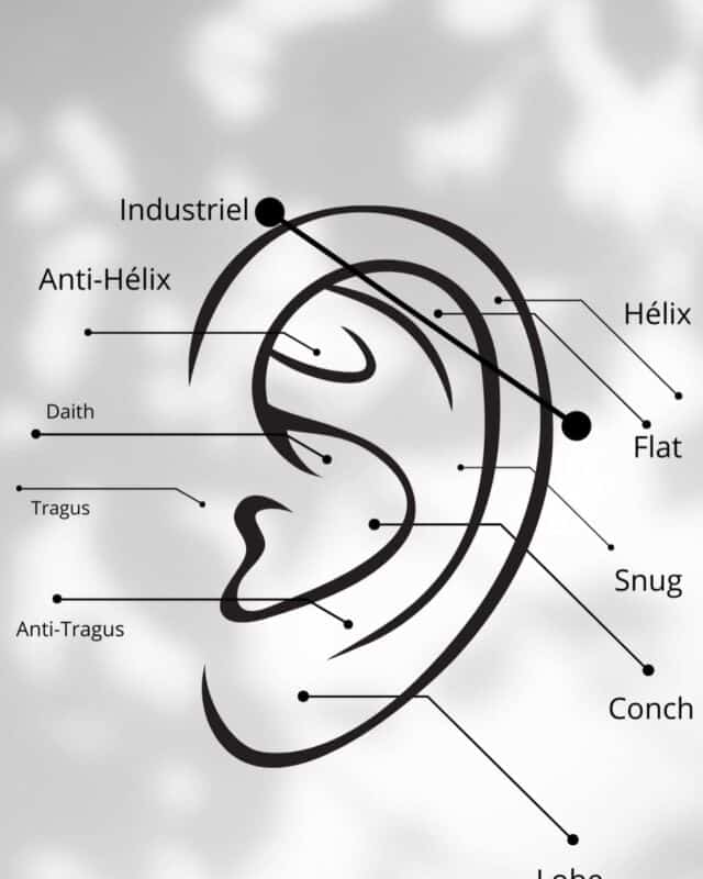 Bijoux conque oreille