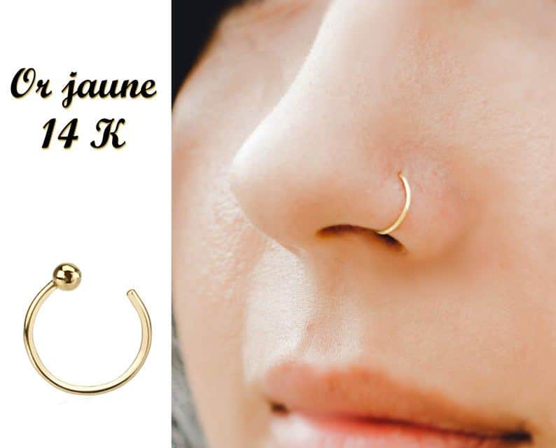 Idées piercing nez
